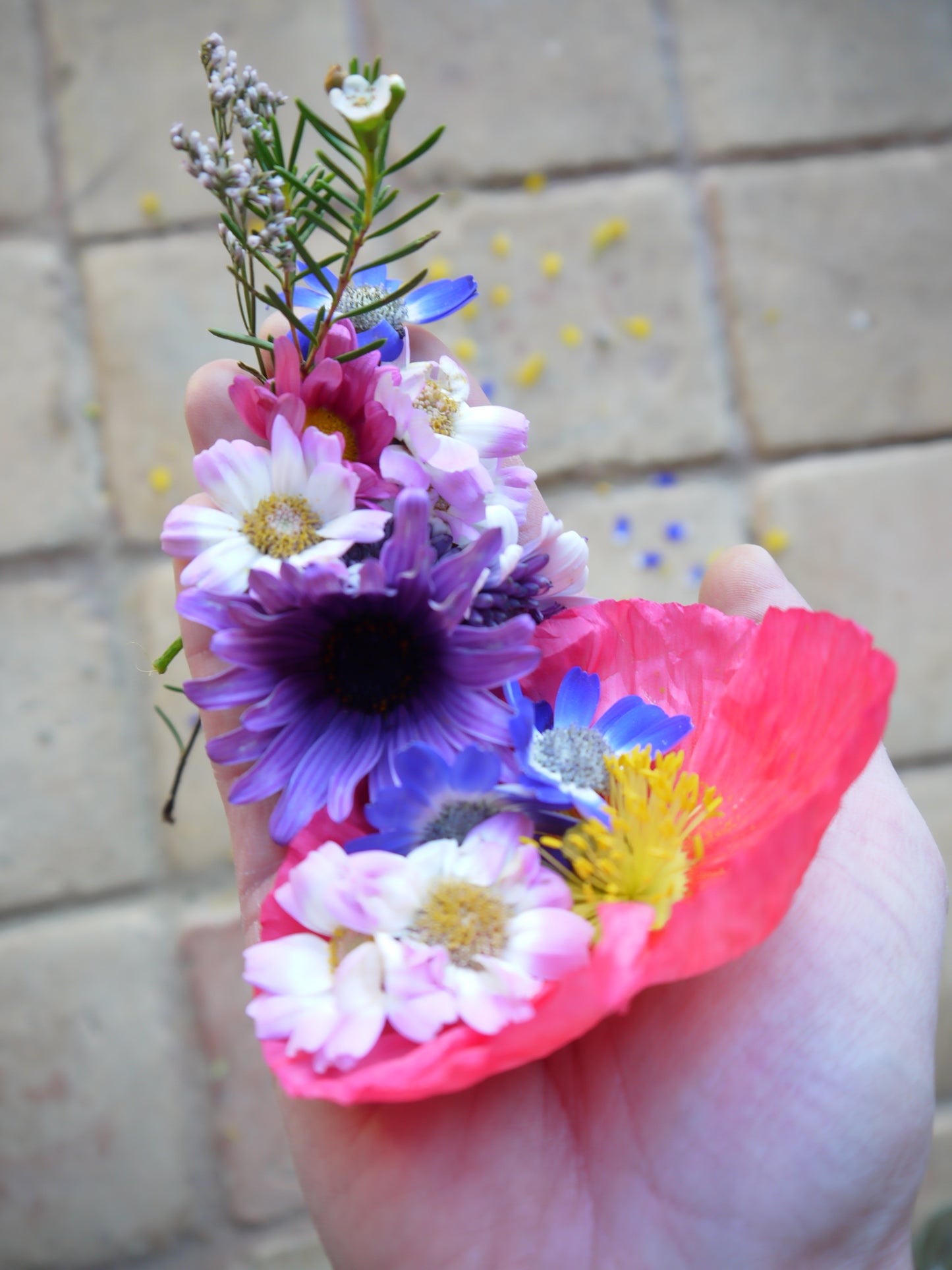 Carte Cadeau " Une goutte d'eau sur ma joue"